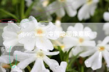 桂阳中国地图像素版