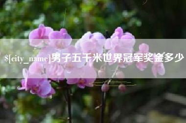 桂阳男子五千米世界冠军奖金多少