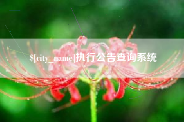桂阳执行公告查询系统