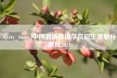 桂阳中国消防救援学院招生录取分数线2021