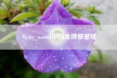 桂阳中国金牌都是啥