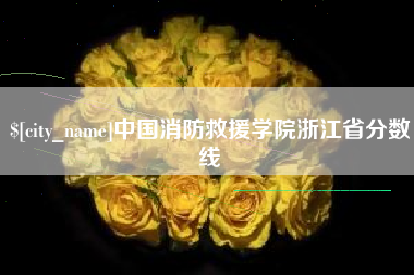 桂阳中国消防救援学院浙江省分数线