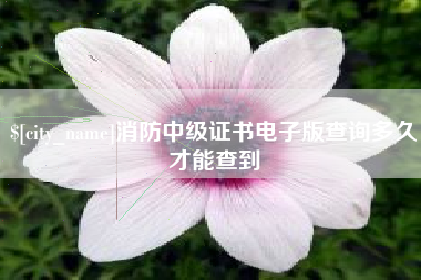 桂阳消防中级证书电子版查询多久才能查到