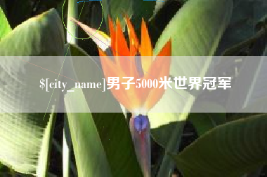 桂阳男子5000米世界冠军