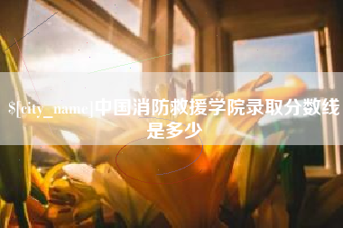 桂阳中国消防救援学院录取分数线是多少