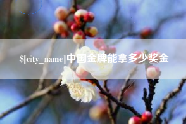 桂阳中国金牌能拿多少奖金