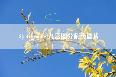 桂阳九宫图分割线图片