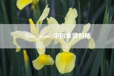 桂阳中国金牌包括