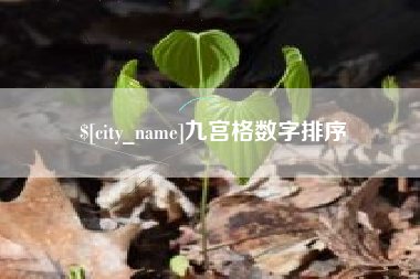 桂阳九宫格数字排序