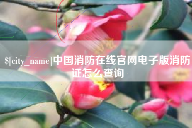桂阳中国消防在线官网电子版消防证怎么查询