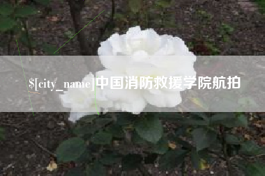 桂阳中国消防救援学院航拍
