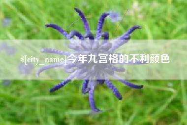 桂阳今年九宫格的不利颜色