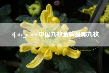 桂阳中国九枚金牌是哪九枚