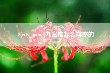 桂阳九宫格怎么排序的