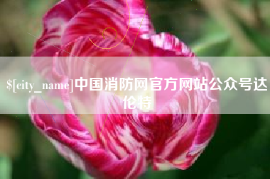 桂阳中国消防网官方网站公众号达伦特