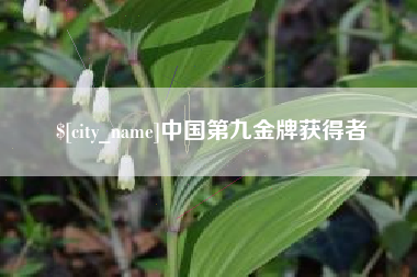 桂阳中国第九金牌获得者