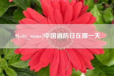 桂阳中国消防日在哪一天