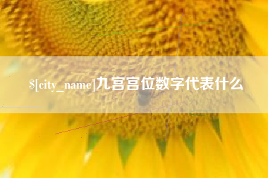 桂阳九宫宫位数字代表什么