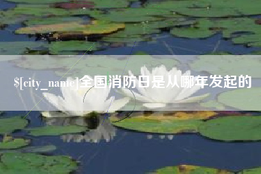 桂阳全国消防日是从哪年发起的