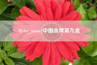 桂阳中国金牌第九金