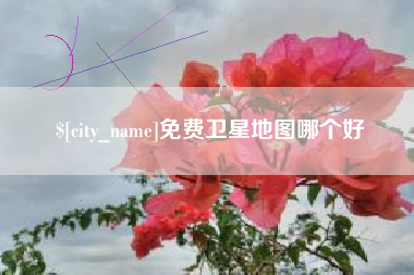 桂阳免费卫星地图哪个好