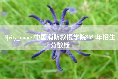 桂阳中国消防救援学院2024年招生分数线