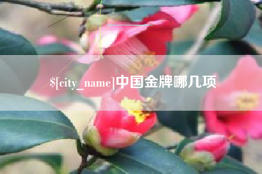 桂阳中国金牌哪几项
