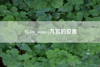 桂阳九宫的位置