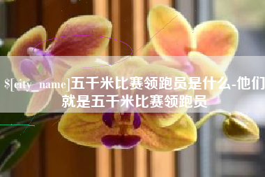桂阳五千米比赛领跑员是什么-他们就是五千米比赛领跑员