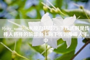 桂阳60米接力赛技巧-下压式则是传棒人将棒的前部由上向下传到接棒人手中