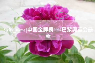 桂阳中国金牌榜2024巴黎奥运会最新