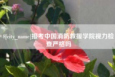 桂阳报考中国消防救援学院视力检查严格吗