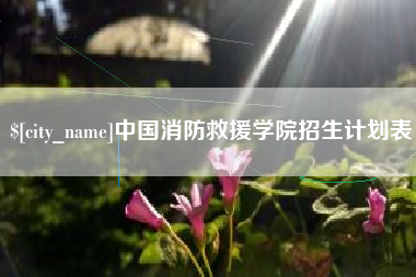 桂阳中国消防救援学院招生计划表