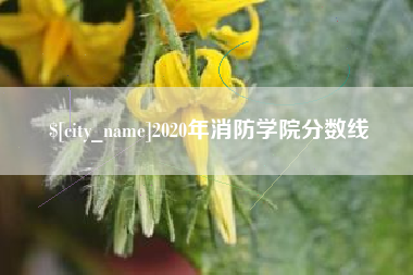 桂阳2020年消防学院分数线