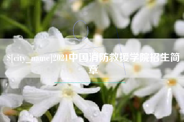 桂阳2021中国消防救援学院招生简章