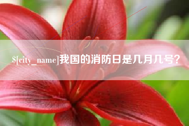 桂阳我国的消防日是几月几号？