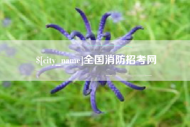桂阳全国消防招考网