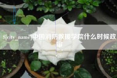 桂阳中国消防救援学院什么时候政审