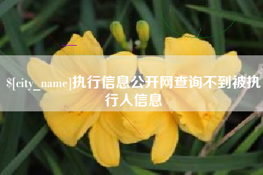 桂阳执行信息公开网查询不到被执行人信息