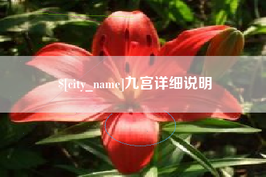 桂阳九宫详细说明