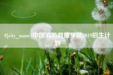 桂阳中国消防救援学院2019招生计划