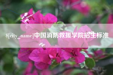 桂阳中国消防救援学院招生标准
