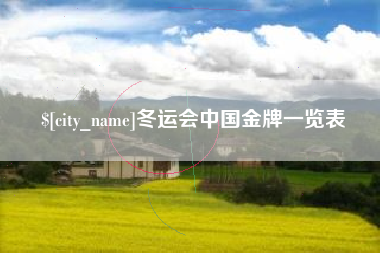 桂阳冬运会中国金牌一览表
