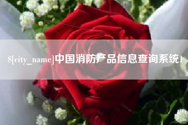 桂阳中国消防产品信息查询系统1
