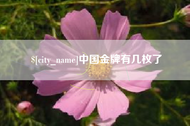 桂阳中国金牌有几枚了