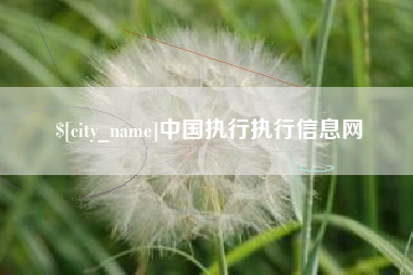 桂阳中国执行执行信息网