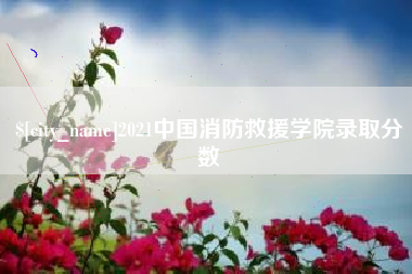 桂阳2021中国消防救援学院录取分数
