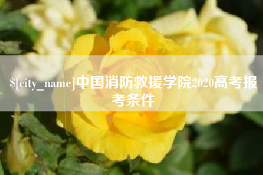 桂阳中国消防救援学院2020高考报考条件