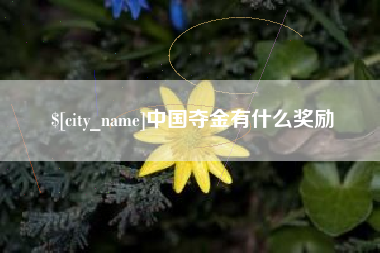 桂阳中国夺金有什么奖励