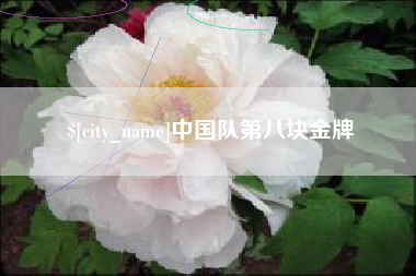 桂阳中国队第八块金牌